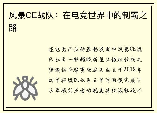风暴CE战队：在电竞世界中的制霸之路